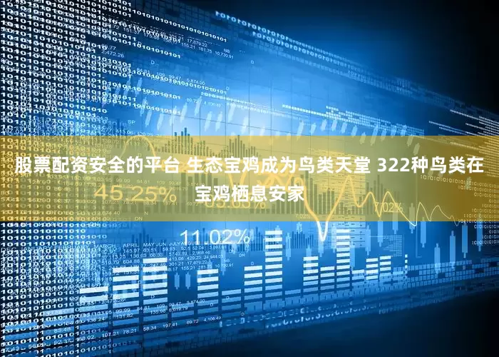 股票配资安全的平台 生态宝鸡成为鸟类天堂 322种鸟类在宝鸡栖息安家